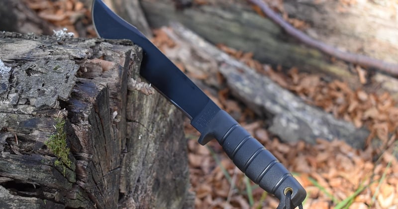 Survivre en pleine nature : les techniques essentielles pour débutants
